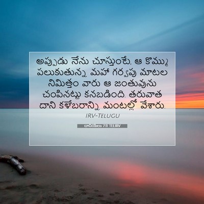 Picture 07 - దానియేలు 7:11 TELIRV - అప్పుడు నేను - Bible Verse Picture