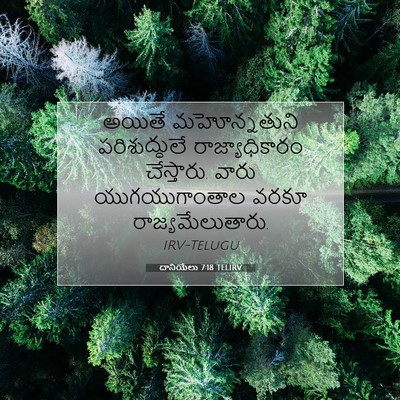 Picture 07 - దానియేలు 7:18 TELIRV - అయితే మహోన్నతుని - Bible Verse Picture