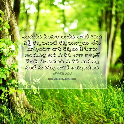 Picture 07 - దానియేలు 7:4 TELIRV - మొదటిది సింహం - Bible Verse Picture