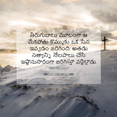 Picture 07 - దానియేలు 8:12 TELIRV - తిరుగుబాటు మూలంగా - Bible Verse Picture