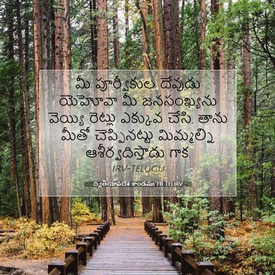 Picture 07 - ద్వితీయోపదేశ కాండము 1:11 TELIRV - మీ పూర్వీకుల - Bible Verse Picture