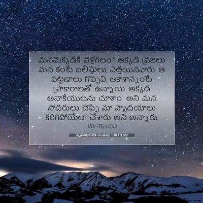 Picture 07 - ద్వితీయోపదేశ కాండము 1:28 TELIRV - మనమెక్కడికి - Bible Verse Picture