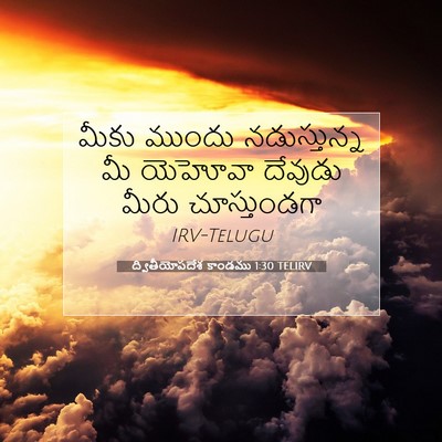 Picture 07 - ద్వితీయోపదేశ కాండము 1:30 TELIRV - మీకు ముందు - Bible Verse Picture