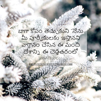 Picture 07 - ద్వితీయోపదేశ కాండము 1:35 TELIRV - బాగా కోపం - Bible Verse Picture
