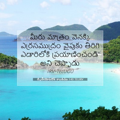 Picture 07 - ద్వితీయోపదేశ కాండము 1:40 TELIRV - మీరు మాత్రం - Bible Verse Picture