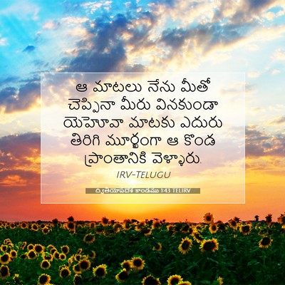 Picture 07 - ద్వితీయోపదేశ కాండము 1:43 TELIRV - ఆ మాటలు నేను మీతో - Bible Verse Picture