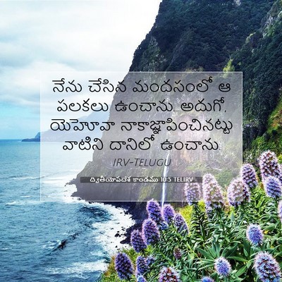 Picture 07 - ద్వితీయోపదేశ కాండము 10:5 TELIRV - నేను చేసిన - Bible Verse Picture
