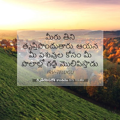 Picture 07 - ద్వితీయోపదేశ కాండము 11:15 TELIRV - మీరు తిని - Bible Verse Picture