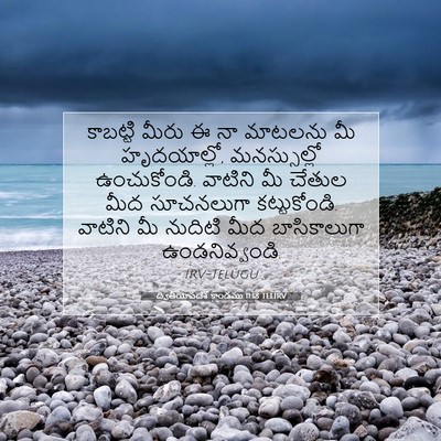 Picture 07 - ద్వితీయోపదేశ కాండము 11:18 TELIRV - కాబట్టి మీరు ఈ నా - Bible Verse Picture