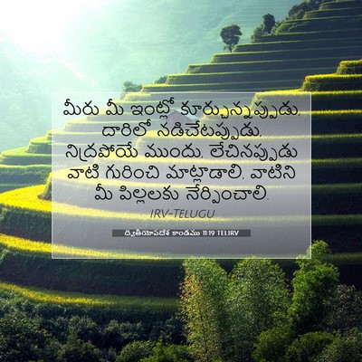 Picture 07 - ద్వితీయోపదేశ కాండము 11:19 TELIRV - మీరు మీ ఇంట్లో - Bible Verse Picture