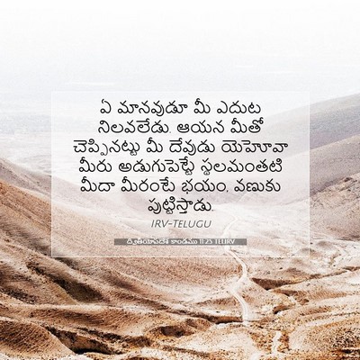 Picture 07 - ద్వితీయోపదేశ కాండము 11:25 TELIRV - ఏ మానవుడూ మీ ఎదుట - Bible Verse Picture