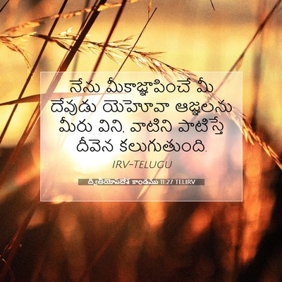Picture 07 - ద్వితీయోపదేశ కాండము 11:27 TELIRV - నేను - Bible Verse Picture