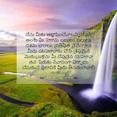 Picture 07 - ద్వితీయోపదేశ కాండము 12:11 TELIRV - నేను మీకు - Bible Verse Picture