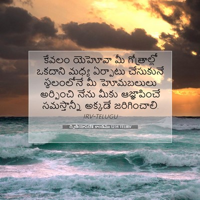 Picture 07 - ద్వితీయోపదేశ కాండము 12:14 TELIRV - కేవలం యెహోవా మీ - Bible Verse Picture