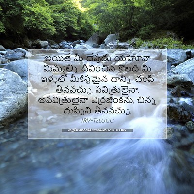Picture 07 - ద్వితీయోపదేశ కాండము 12:15 TELIRV - అయితే మీ దేవుడు - Bible Verse Picture