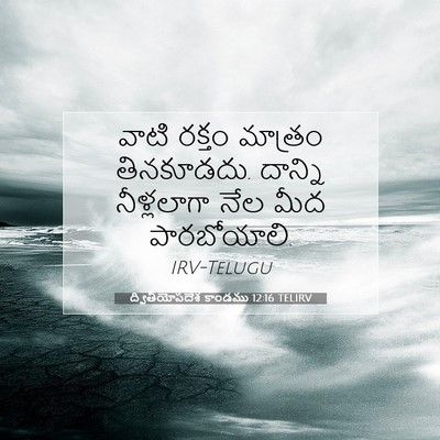 Picture 07 - ద్వితీయోపదేశ కాండము 12:16 TELIRV - వాటి రక్తం మాత్రం - Bible Verse Picture