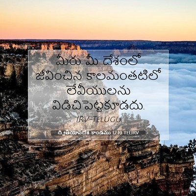 Picture 07 - ద్వితీయోపదేశ కాండము 12:19 TELIRV - మీరు మీ దేశంలో - Bible Verse Picture