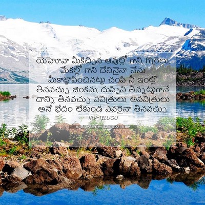 Picture 07 - ద్వితీయోపదేశ కాండము 12:22 TELIRV - యెహోవా మీకిచ్చిన - Bible Verse Picture