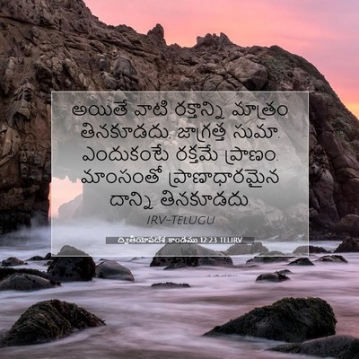 Picture 07 - ద్వితీయోపదేశ కాండము 12:23 TELIRV - అయితే వాటి - Bible Verse Picture