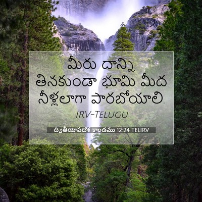 Picture 07 - ద్వితీయోపదేశ కాండము 12:24 TELIRV - మీరు దాన్ని - Bible Verse Picture