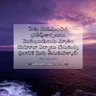 Picture 07 - ద్వితీయోపదేశ కాండము 12:26 TELIRV - మీకు నియమించిన - Bible Verse Picture