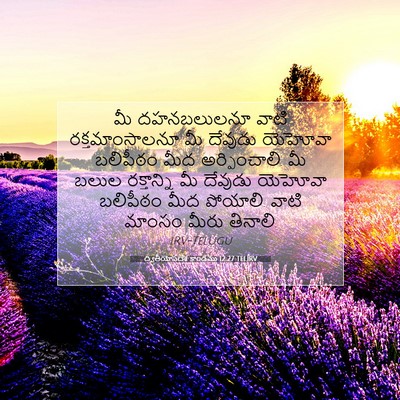 Picture 07 - ద్వితీయోపదేశ కాండము 12:27 TELIRV - మీ దహనబలులనూ వాటి - Bible Verse Picture