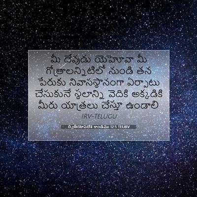 Picture 07 - ద్వితీయోపదేశ కాండము 12:5 TELIRV - మీ దేవుడు యెహోవా - Bible Verse Picture