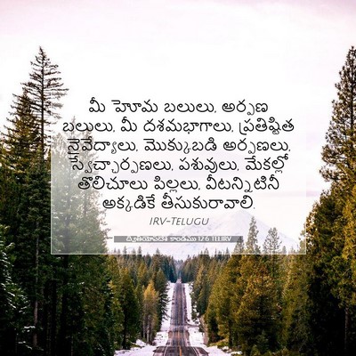 Picture 07 - ద్వితీయోపదేశ కాండము 12:6 TELIRV - మీ హోమ బలులు, అర్పణ - Bible Verse Picture