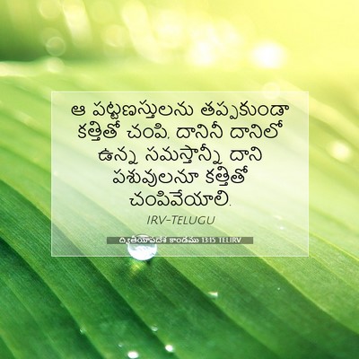 Picture 07 - ద్వితీయోపదేశ కాండము 13:15 TELIRV - ఆ పట్టణస్తులను - Bible Verse Picture