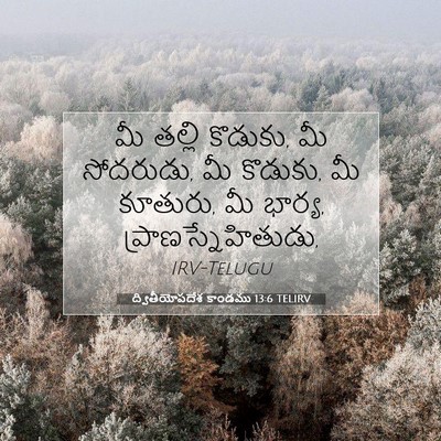 Picture 07 - ద్వితీయోపదేశ కాండము 13:6 TELIRV - మీ తల్లి కొడుకు, మీ - Bible Verse Picture