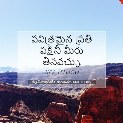 Picture 07 - ద్వితీయోపదేశ కాండము 14:11 TELIRV - పవిత్రమైన ప్రతి - Bible Verse Picture