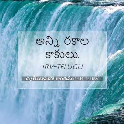 Picture 07 - ద్వితీయోపదేశ కాండము 14:14 TELIRV - అన్ని రకాల - Bible Verse Picture
