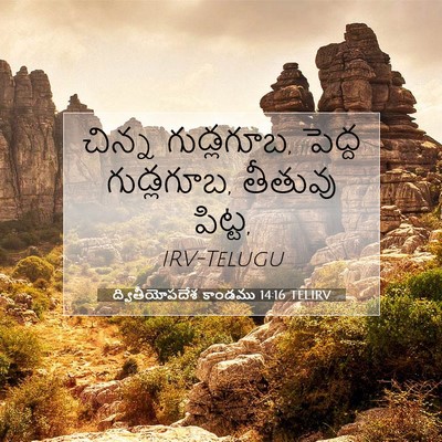 Picture 07 - ద్వితీయోపదేశ కాండము 14:16 TELIRV - చిన్న గుడ్లగూబ, - Bible Verse Picture