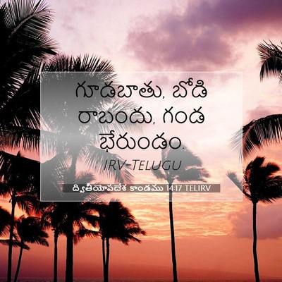 Picture 07 - ద్వితీయోపదేశ కాండము 14:17 TELIRV - గూడబాతు, బోడి - Bible Verse Picture