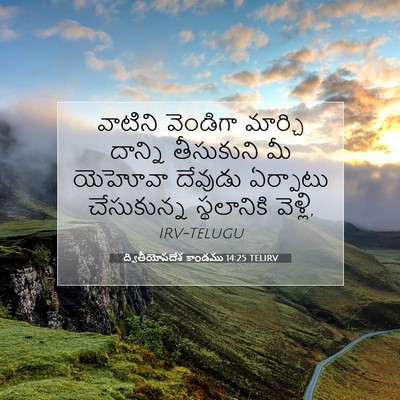 Picture 07 - ద్వితీయోపదేశ కాండము 14:25 TELIRV - వాటిని వెండిగా - Bible Verse Picture