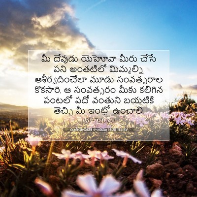 Picture 07 - ద్వితీయోపదేశ కాండము 14:28 TELIRV - మీ దేవుడు యెహోవా - Bible Verse Picture
