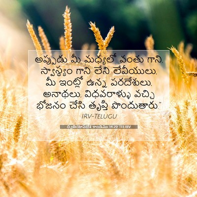 Picture 07 - ద్వితీయోపదేశ కాండము 14:29 TELIRV - అప్పుడు మీ మధ్యలో - Bible Verse Picture