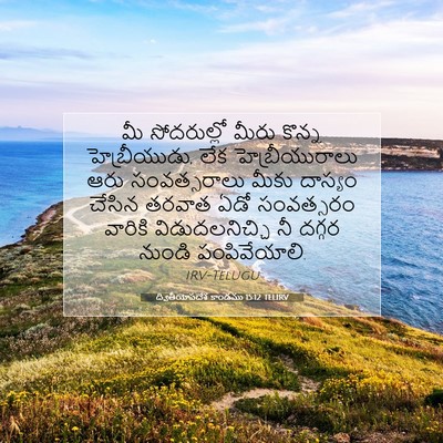 Picture 07 - ద్వితీయోపదేశ కాండము 15:12 TELIRV - మీ సోదరుల్లో మీరు - Bible Verse Picture