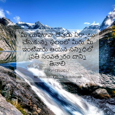 Picture 07 - ద్వితీయోపదేశ కాండము 15:20 TELIRV - మీ యెహోవా దేవుడు - Bible Verse Picture