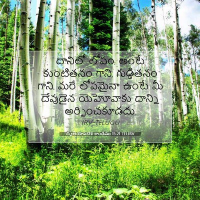 Picture 07 - ద్వితీయోపదేశ కాండము 15:21 TELIRV - దానిలో లోపం, అంటే - Bible Verse Picture