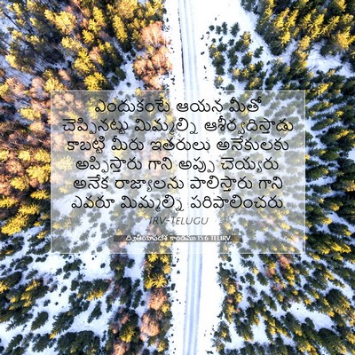 Picture 07 - ద్వితీయోపదేశ కాండము 15:6 TELIRV - ఎందుకంటే ఆయన మీతో - Bible Verse Picture