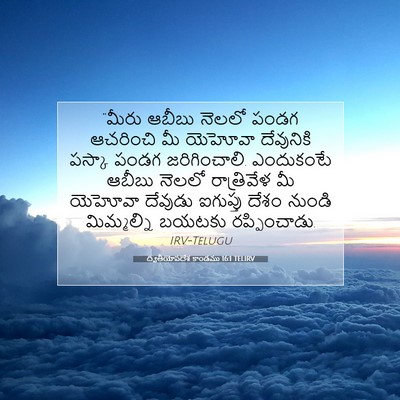 Picture 07 - ద్వితీయోపదేశ కాండము 16:1 TELIRV - “మీరు ఆబీబు నెలలో - Bible Verse Picture