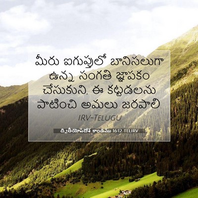 Picture 07 - ద్వితీయోపదేశ కాండము 16:12 TELIRV - మీరు ఐగుప్తులో - Bible Verse Picture