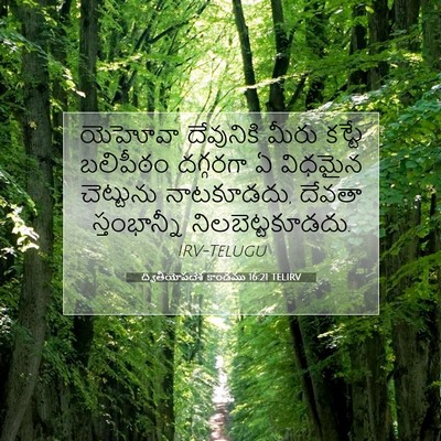 Picture 07 - ద్వితీయోపదేశ కాండము 16:21 TELIRV - యెహోవా దేవునికి - Bible Verse Picture