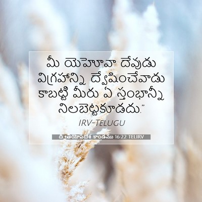 Picture 07 - ద్వితీయోపదేశ కాండము 16:22 TELIRV - మీ యెహోవా దేవుడు - Bible Verse Picture