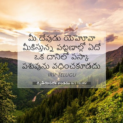 Picture 07 - ద్వితీయోపదేశ కాండము 16:5 TELIRV - మీ దేవుడు యెహోవా - Bible Verse Picture