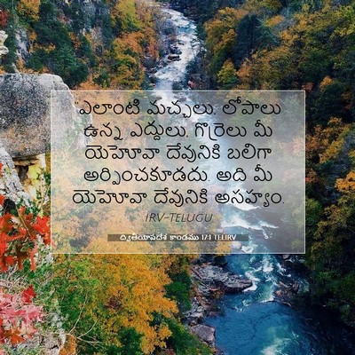 Picture 07 - ద్వితీయోపదేశ కాండము 17:1 TELIRV - “ఎలాంటి మచ్చలు, - Bible Verse Picture