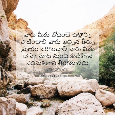 Picture 07 - ద్వితీయోపదేశ కాండము 17:11 TELIRV - వారు మీకు బోధించే - Bible Verse Picture
