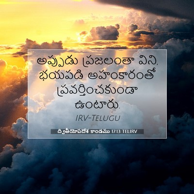 Picture 07 - ద్వితీయోపదేశ కాండము 17:13 TELIRV - అప్పుడు ప్రజలంతా - Bible Verse Picture