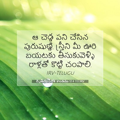 Picture 07 - ద్వితీయోపదేశ కాండము 17:4 TELIRV - ఆ చెడ్డ పని చేసిన - Bible Verse Picture